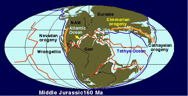 1st-Order Global Tectonic Elements
