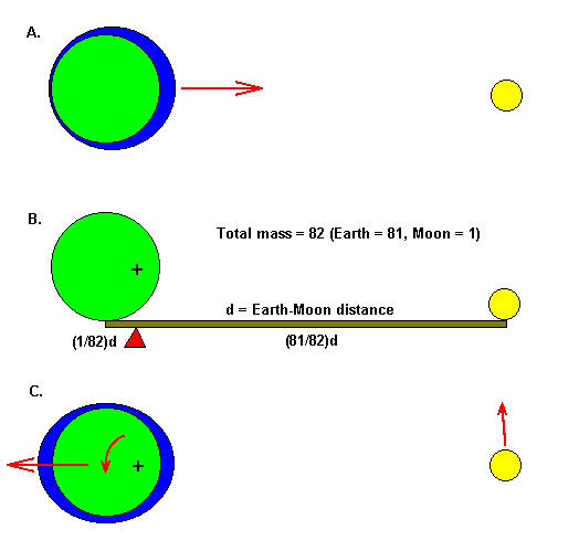 Why two tidal bulges?