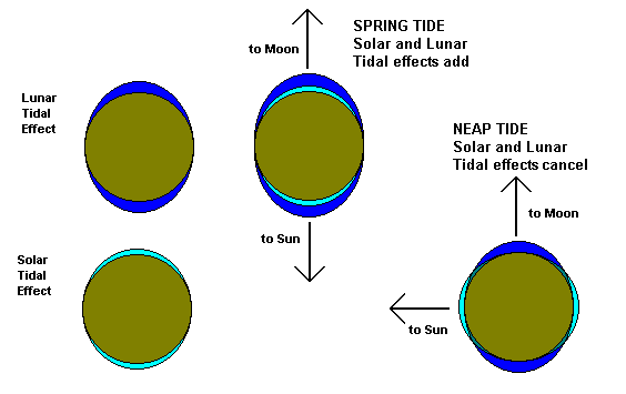 Lunar and Solar Tides