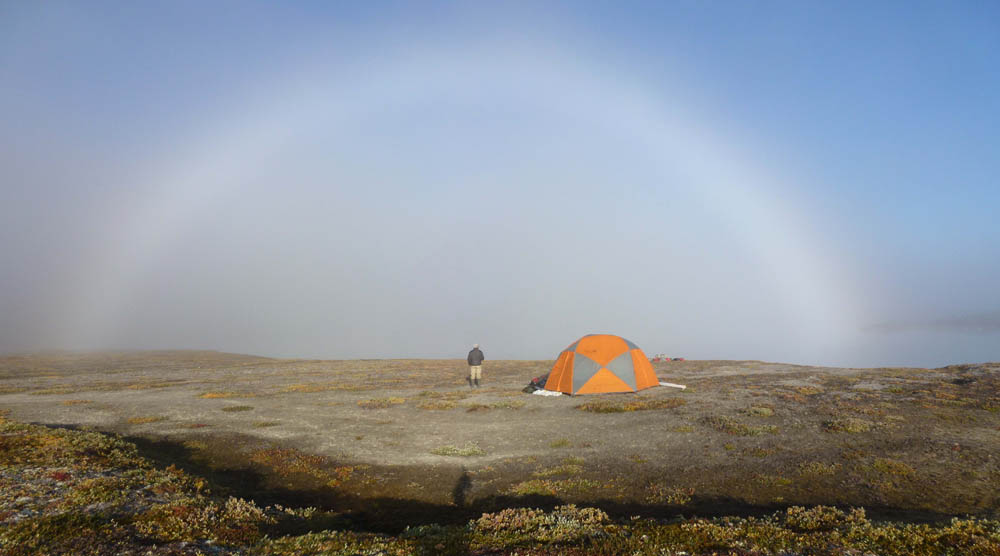 m_fogbow