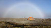 m_fogbow